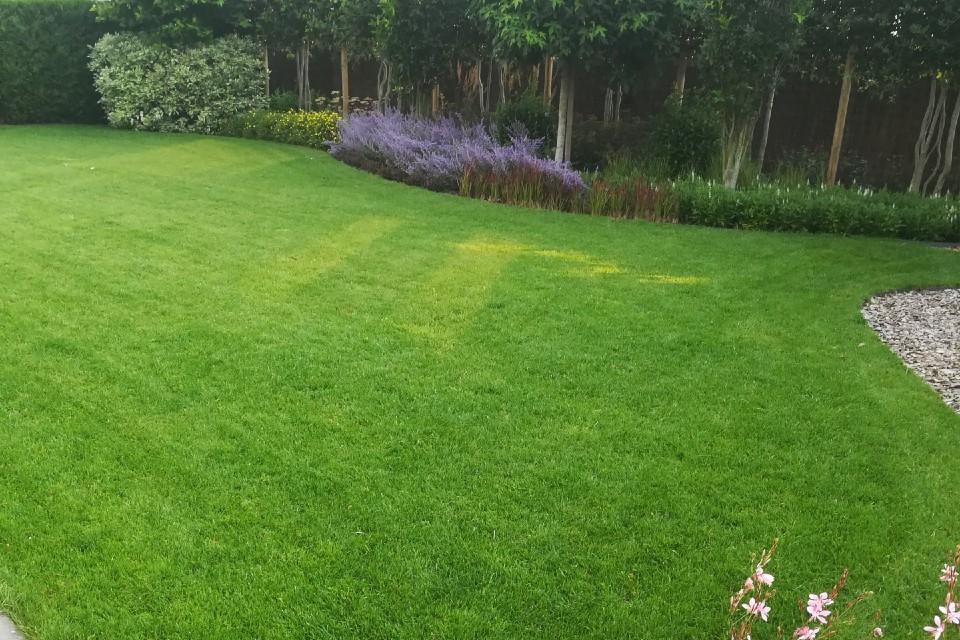 Organische vormgeving van natuurlijke sierborder en gazon