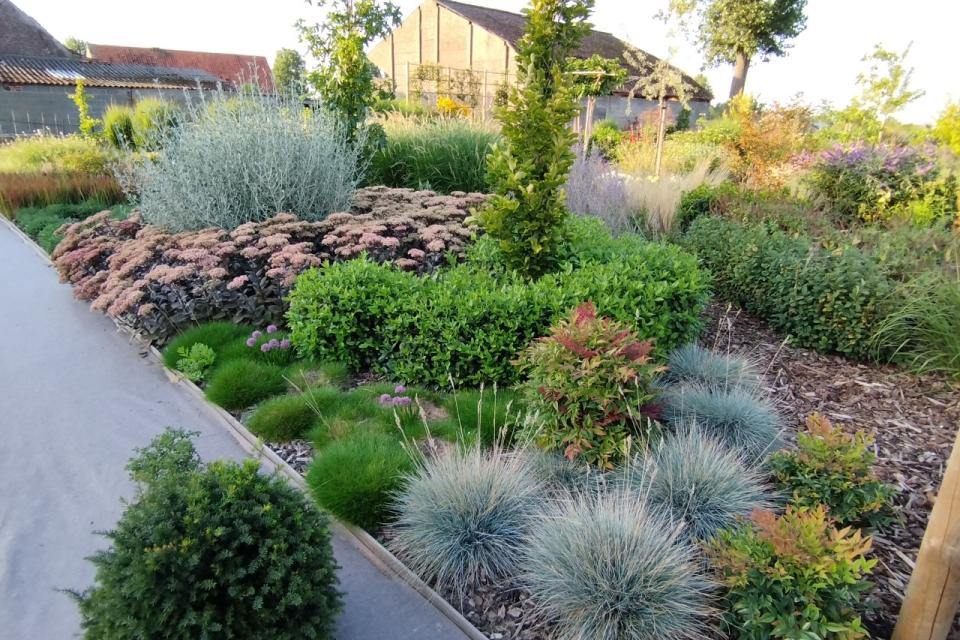 Unieke plantencombinaties voor sfeer, kleur en beleving jaarrond