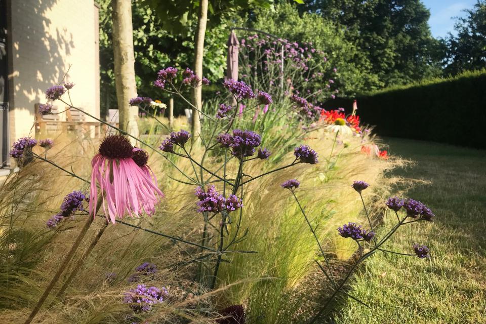 Prairietuin