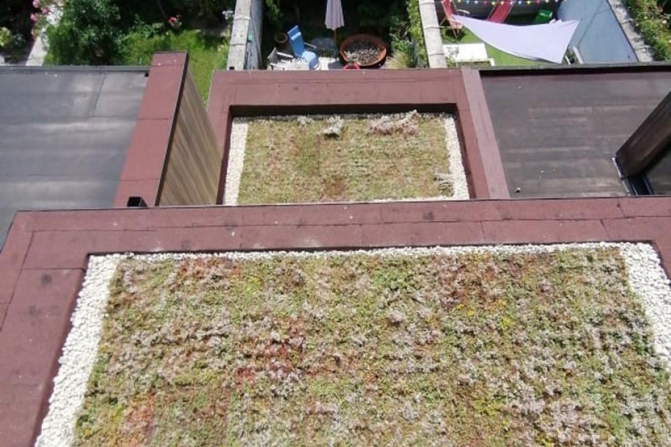 Groendaken