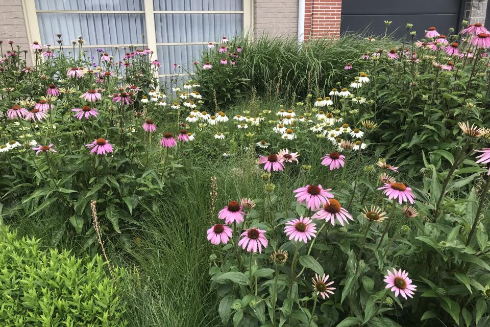 Showtuin Aartselaar vrij te bezoeken