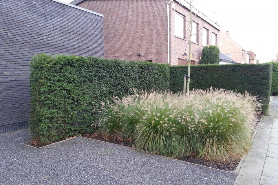 Voortuin in kiezel