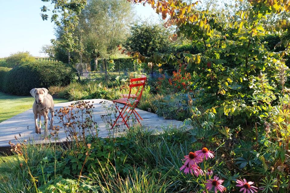 Gemengde border met zwevend terras