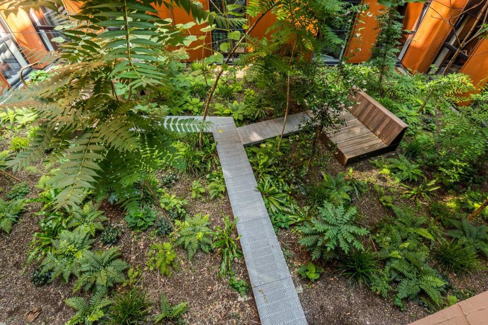 Patio daktuin.  