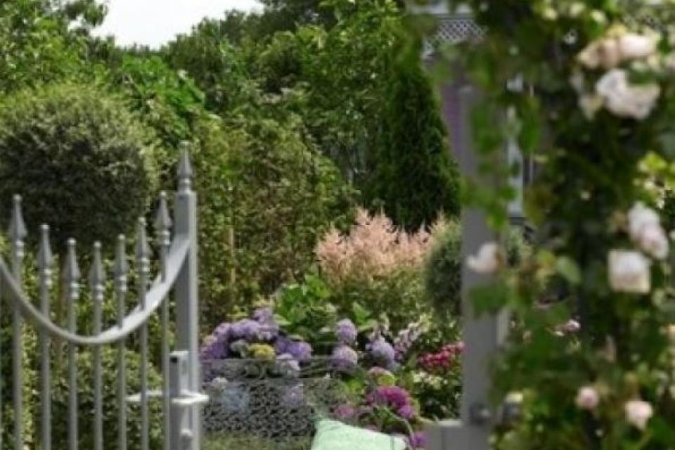 engelse_demo_tuin_04.jpg