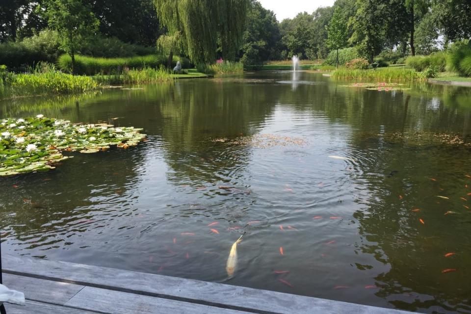 aanleg vijver en ponton