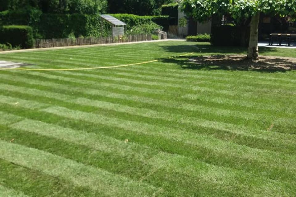 Grasmatten