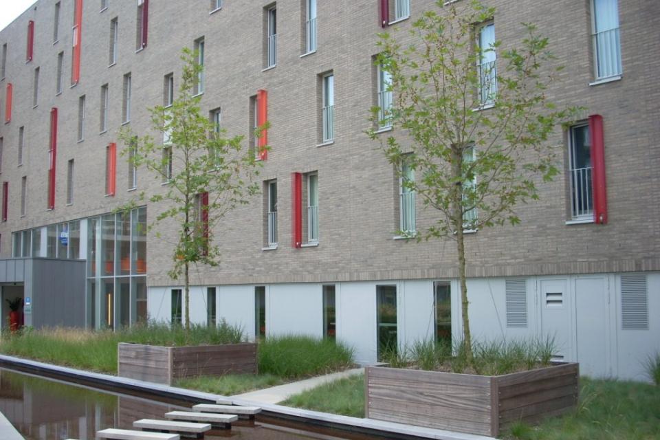 hardhout_boombakken_haagbakken_op_maat_project_te_brugge_001_groot_.jpg