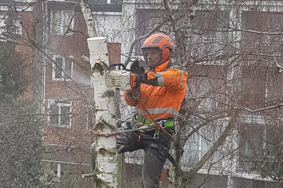 img-20190214-wa00103371.jpg