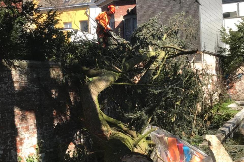 Opruimen van stormschade.