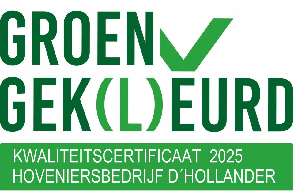 Groen Gekleurd D'Hollander Wim