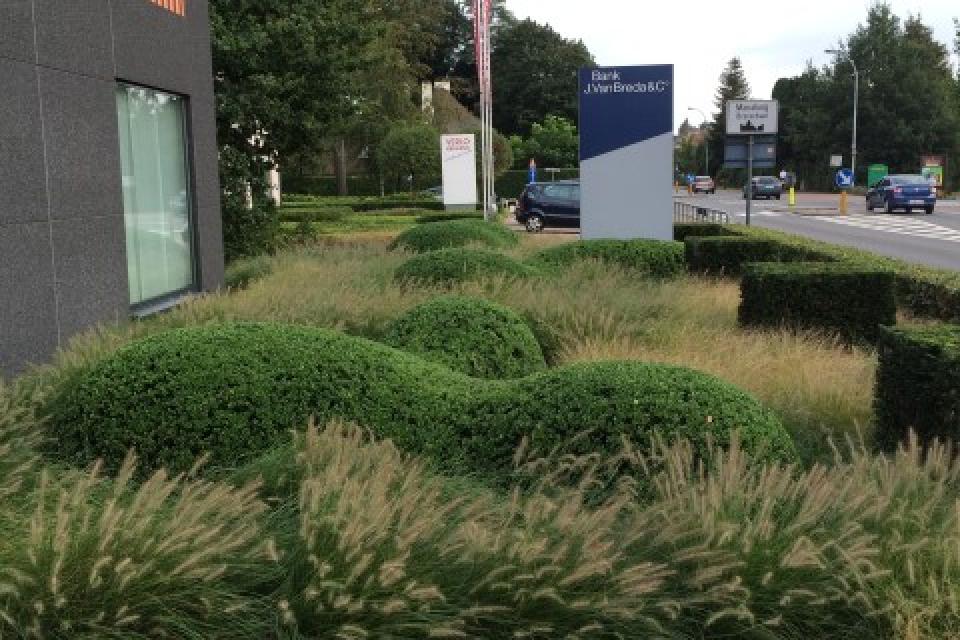 Onderhoud bedrijfsgroen