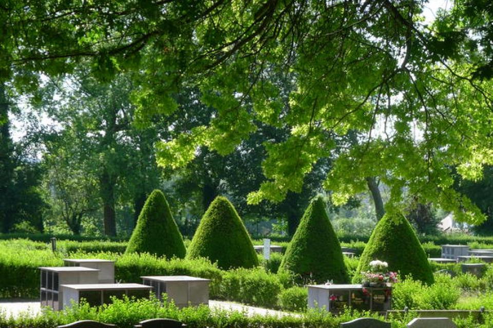 Brussel / CIVA organiseert bezoeken aan publieke en private tuinen