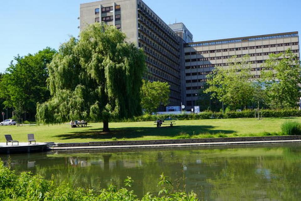 Brussel / Bezoek de mooiste maar soms minst bekende groene ruimtes van de hoofdstad 
