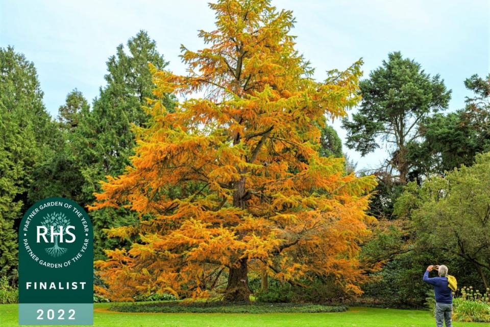 Arboretum Kalmthout winnaar RHS Overseas Partner Garden of the Year