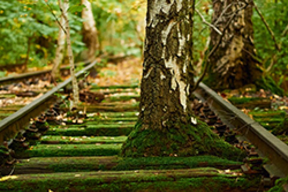 Natuurpark Südgelände in Berlijn wint International Carlo Scarpa Prize for Gardens