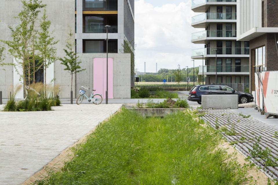 Zeg niet zomaar gracht tegen een wadi