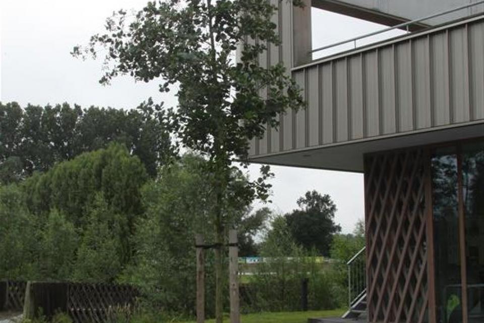 Naar een efficiënt waterbeheer met groenzones