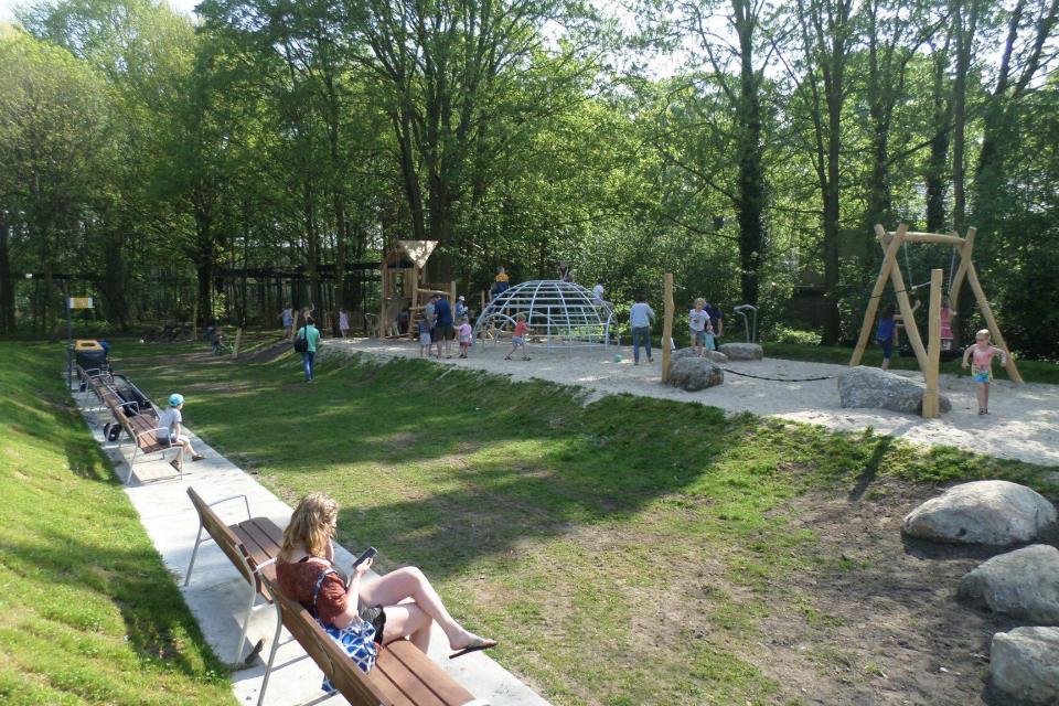 Groene Lente / Dit zijn de beste openbaar groenrealisaties van 2019