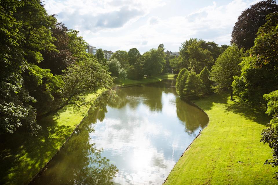 Open Brief over herstel vijver in Stadspark Antwerpen