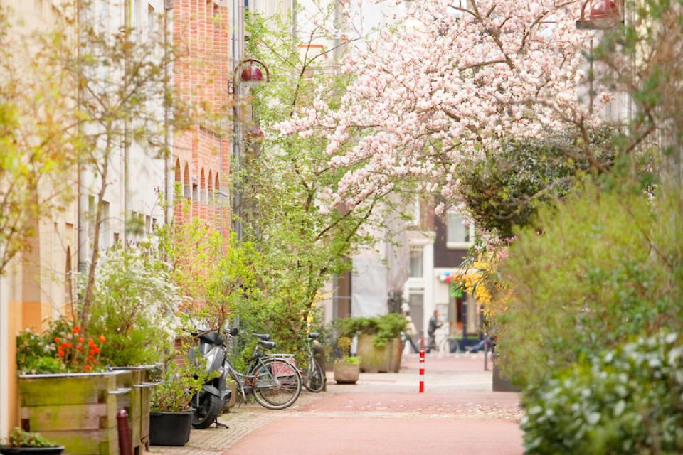 De transitie naar een natuurinclusieve stad
