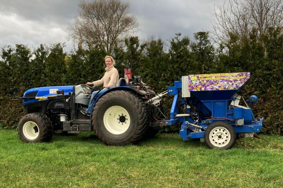 Teler plant 250.000 bloembollen in Arendonk voor meer biodiversiteit 