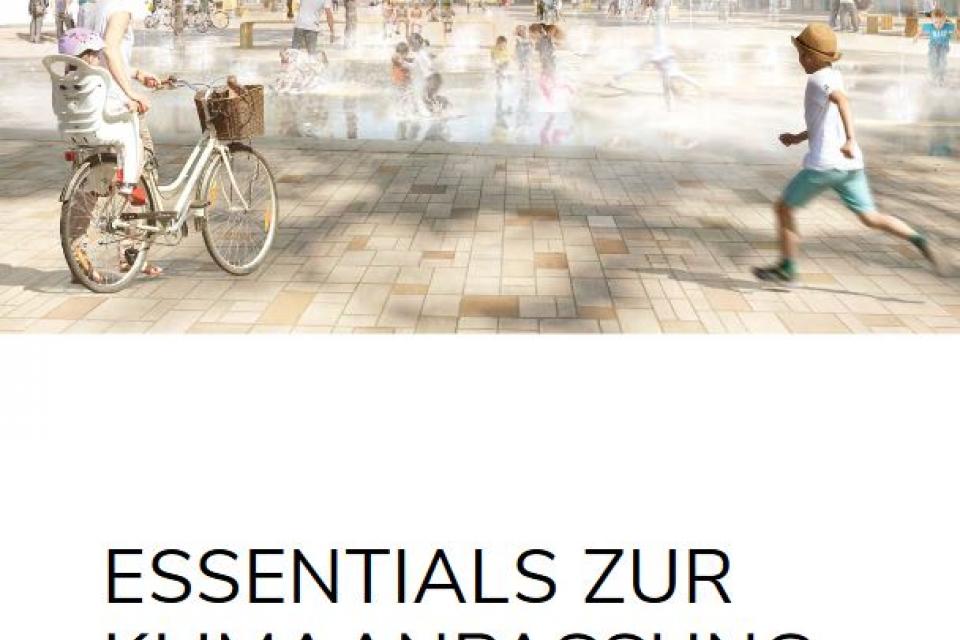 20 aanbevelingen voor een klimaatadaptatiebeleid voor stadslandschappen