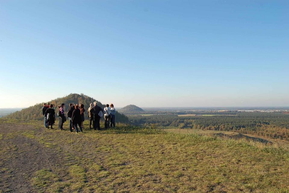 BLIKVELD, nieuwe vakvereniging voor landschaps- en tuinarchitectuur 