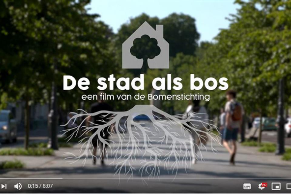 Bomenstichting lanceert film ‘De stad als bos’