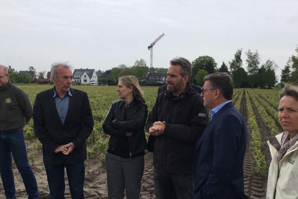 Vlaanderen investeert in duurzame sierteelt