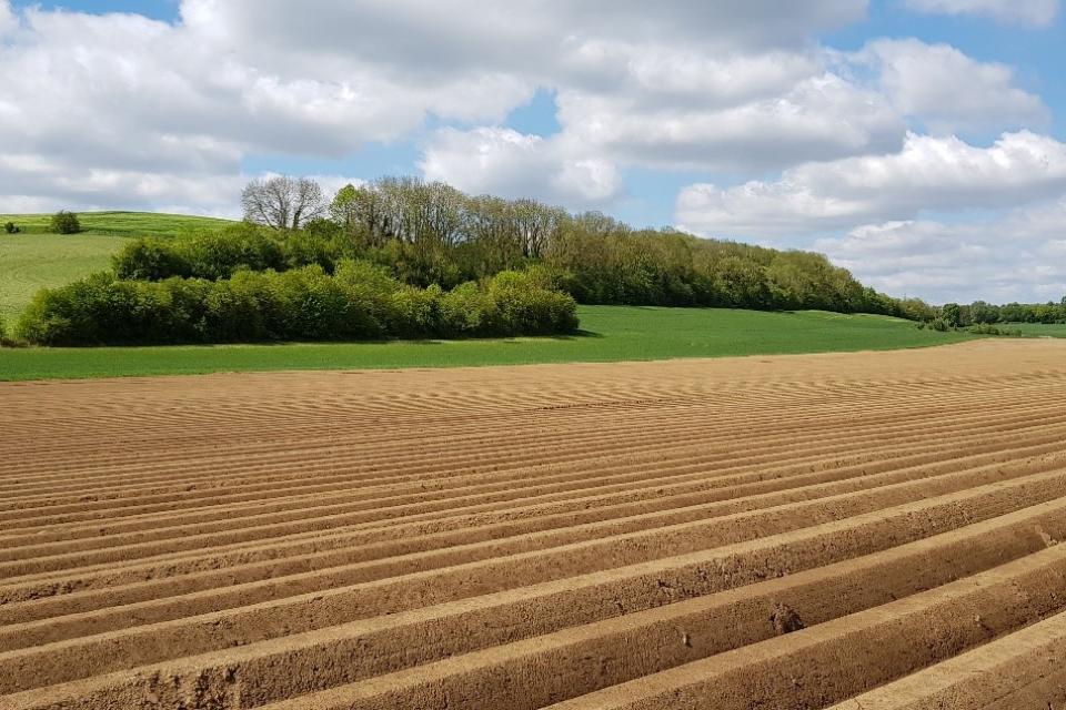 Kleine bosjes in het landschap bieden meer ecosysteemdiensten dan gedacht