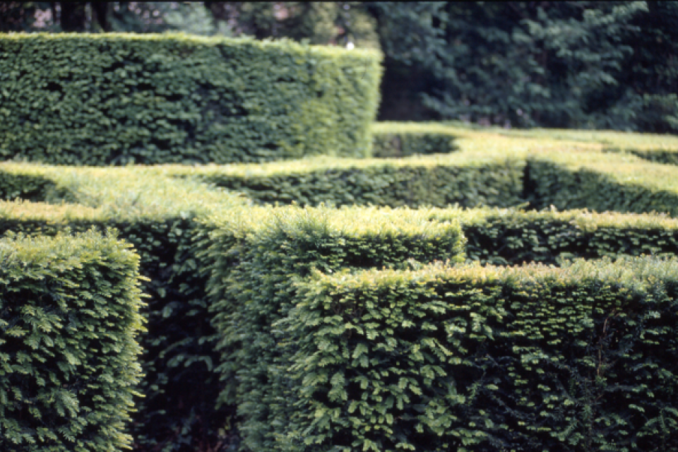 Brussel / CIVA Garden Tales in september