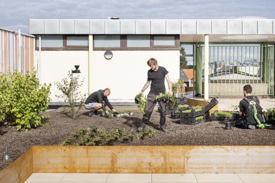 Antwerpen lanceert Klimaatpremie