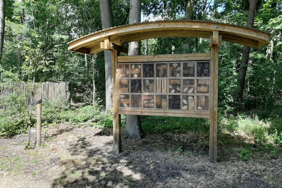 Laureaten projectoproep Natuur in je Buurt 2020: focus op natuur en gezondheid