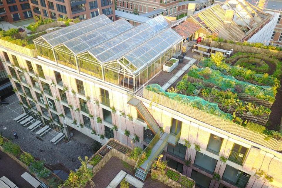 DAKboeren brengen landbouw naar hartje Antwerpen