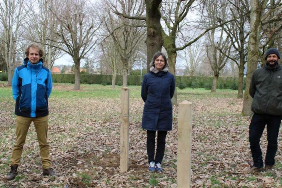 Stad Leuven plant dierenbegraafplaats aan Diestseveld in Kessel-Lo