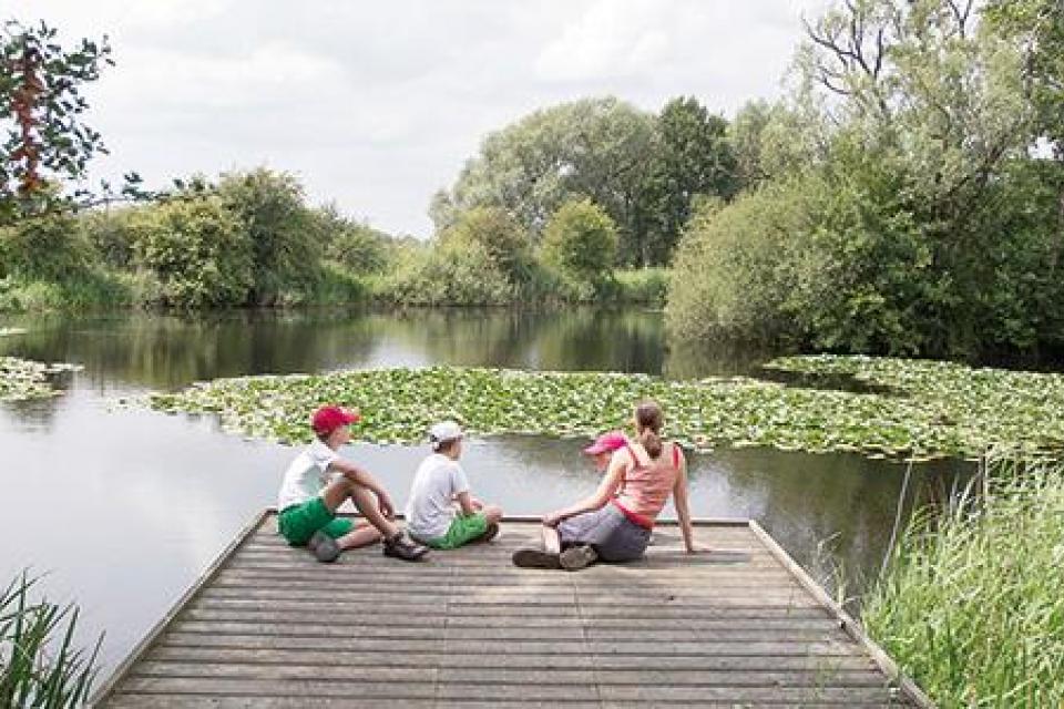 Diksmuide wint gouden medaille op de wedstrijd Entente florale Europe
