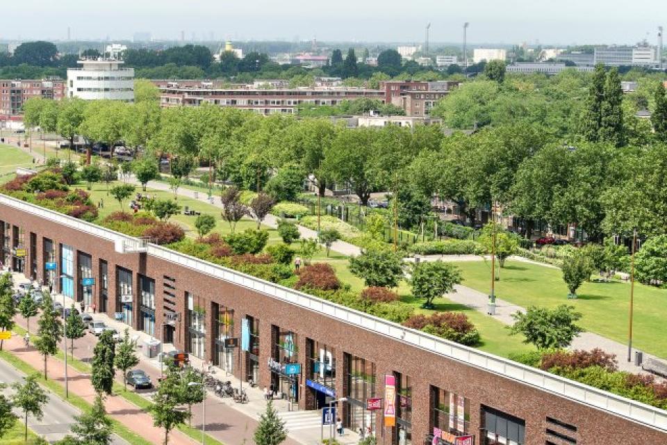 ELCA lanceert Europees platform voor stedelijke vergroening