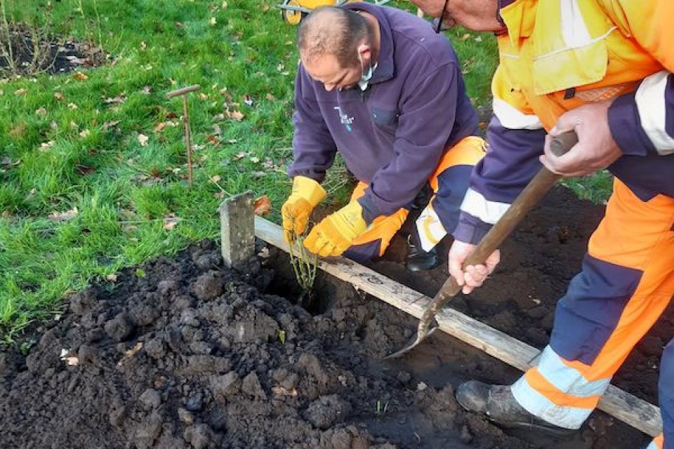 Twee nieuwe Belgische testlocaties voor Excellence Roses