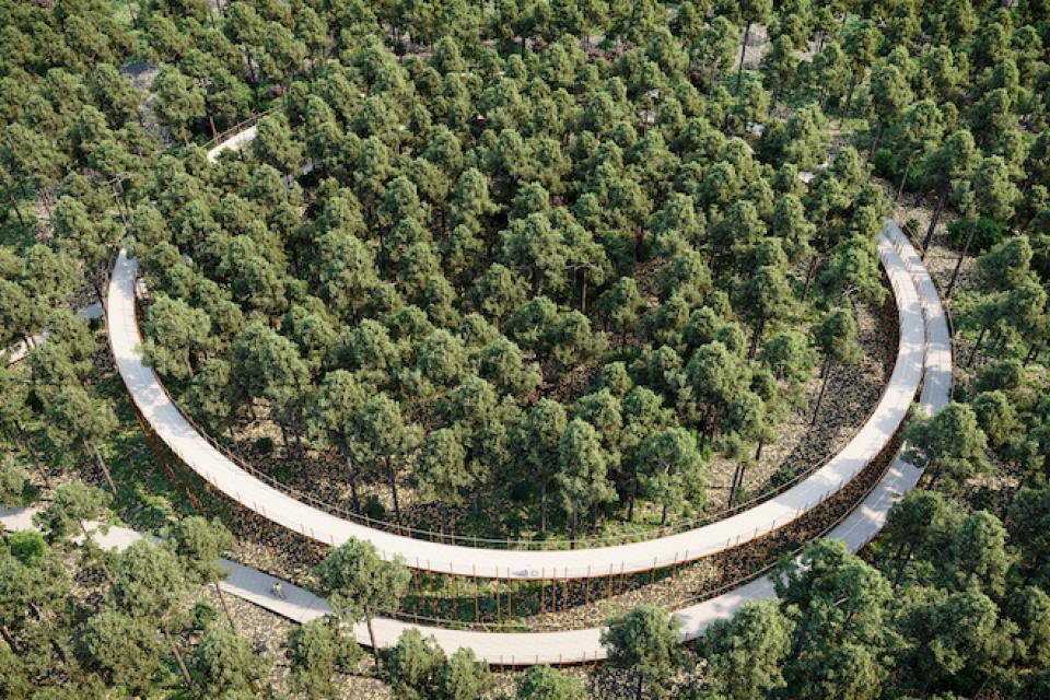 ‘Fietsen door de bomen’ geselecteerd als Best Architectural Project 2019