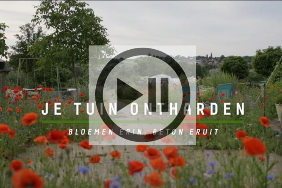 Instructieve films over ontharden 