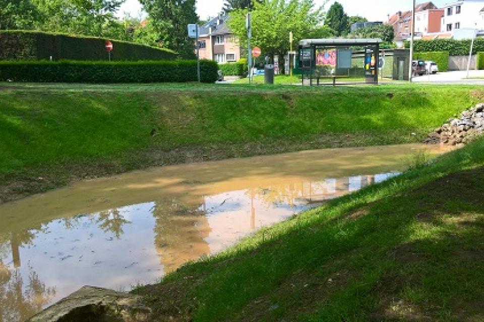 8,5 miljoen euro voor vergroening Vlaamse Rand