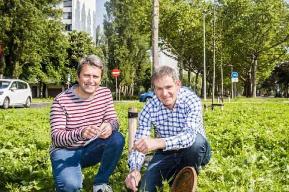 Bomen krijgen watervoorraad tegen verdroging