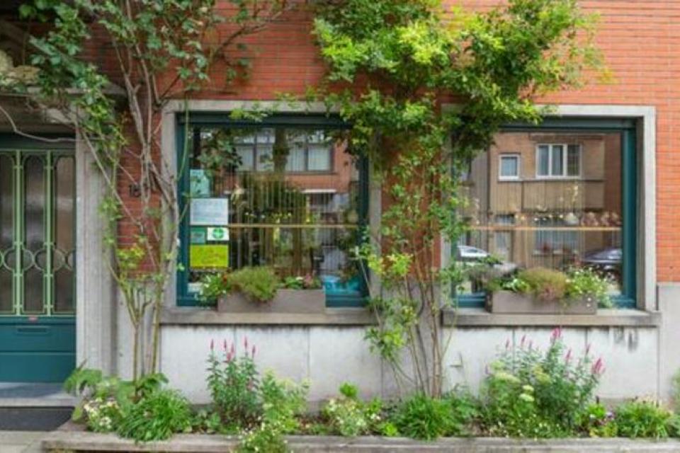 Gent / Gevel- en straattuinen mogen groter 