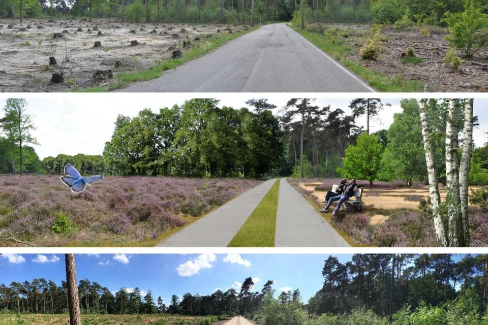 Het landschap leest als een biografie