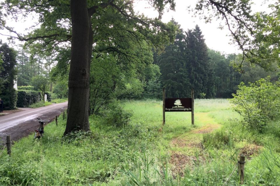 Doe mee met de Green Deal Natuurlijke tuinen