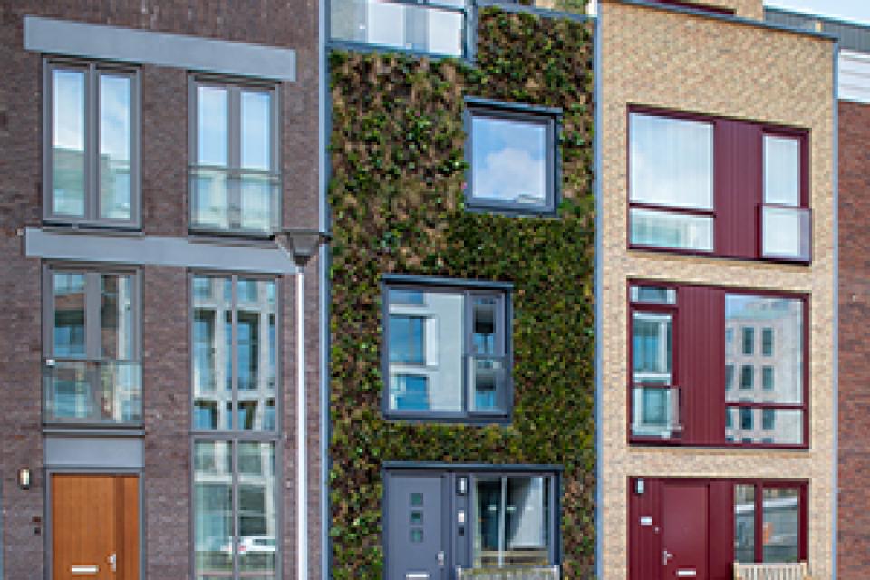 Groenondernemers roepen op tot meer groene gevels en daken