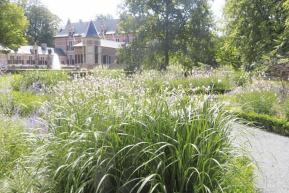 Wonen in groene buurt heeft weinig effect op kankerrisico