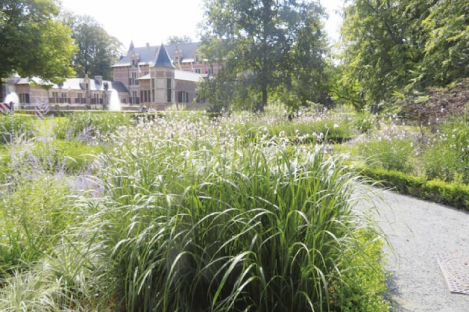 VVOG reikt Openbaargroen-awards 2021 uit