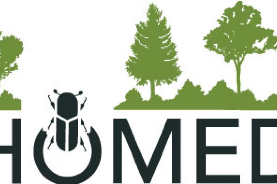 Europese vragenlijst over nieuwe ziekten en plagen in bomen